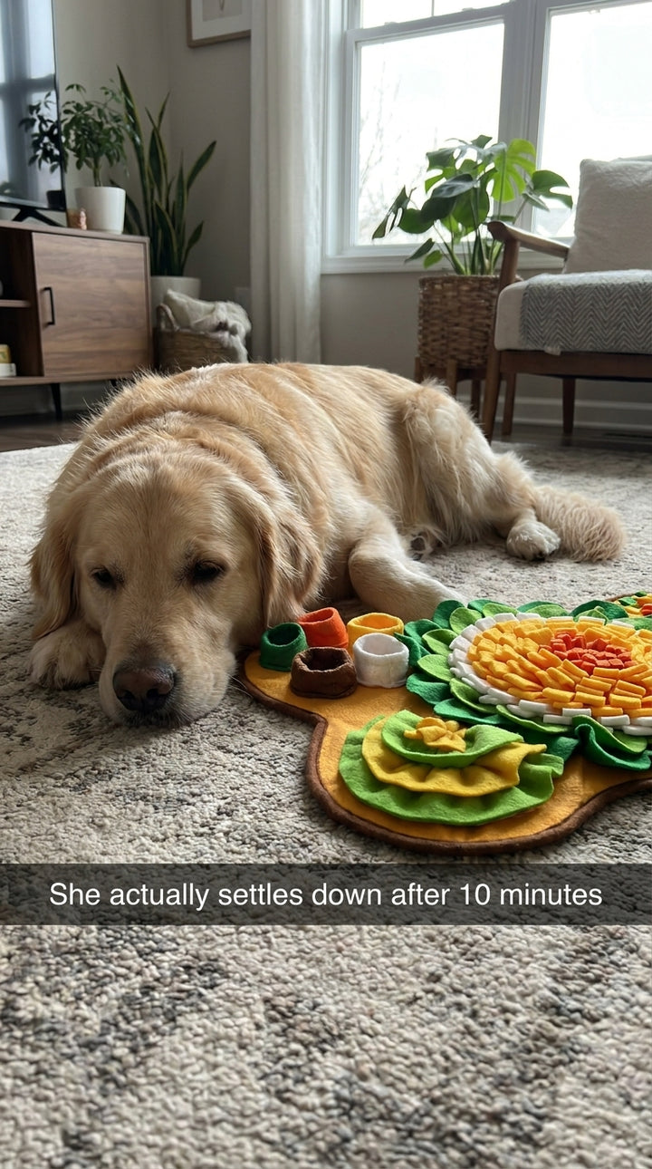 She actually settles down after 10 minutes